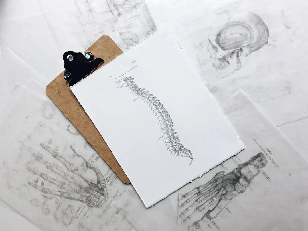 Mastering Good Posture for a Healthier Life - HealTribe